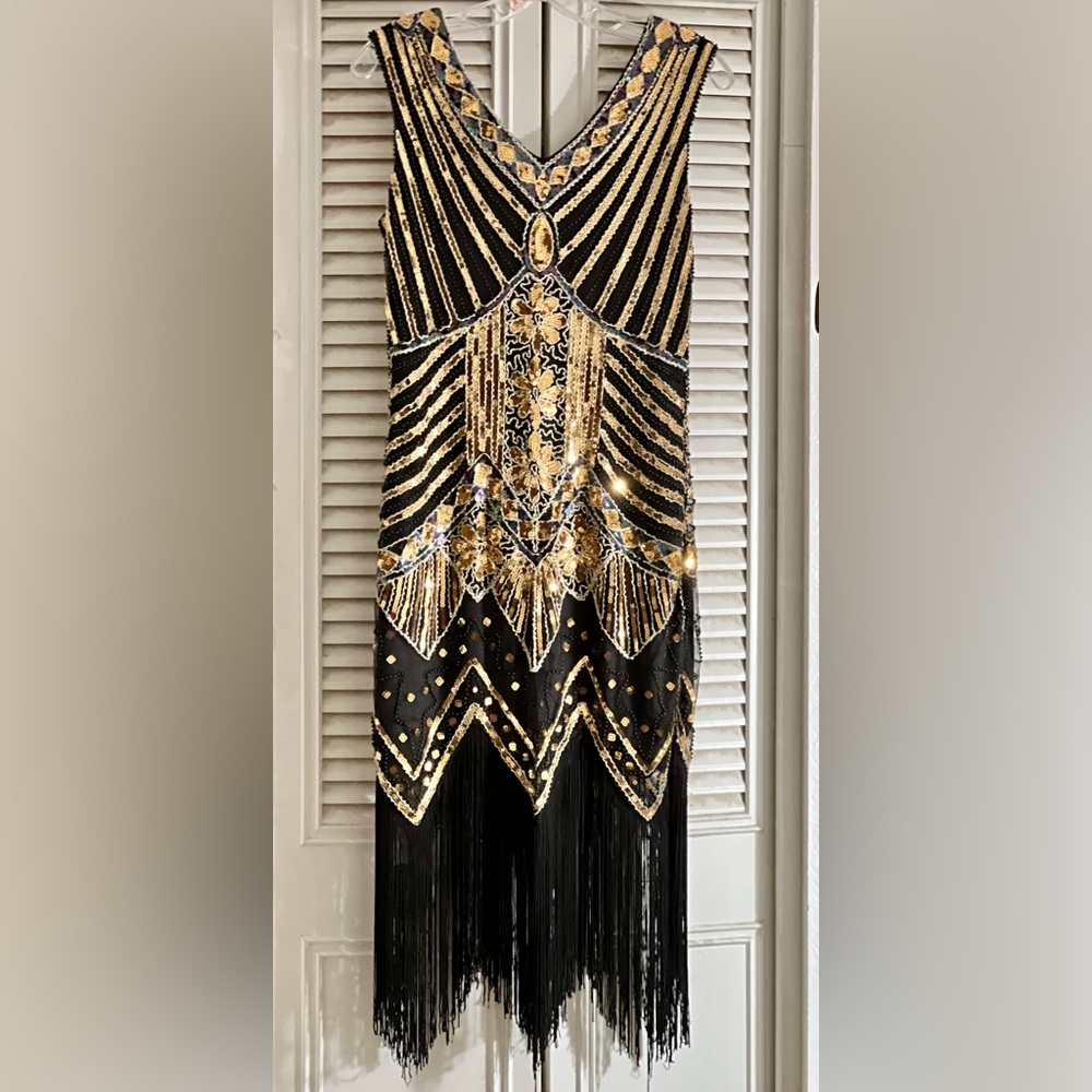 Sequined dress with fringe- Roaring 20s costume or formal!